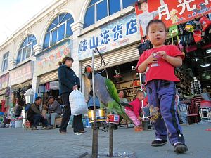 Pioniertour 1, China - Tibet (Chengdu-Lhasa) - Foto 77